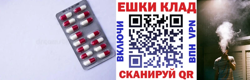 omg ONION  купить наркоту  Сунжа  Экстази Дубай 