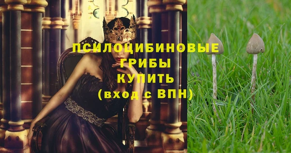 apvp Арсеньев