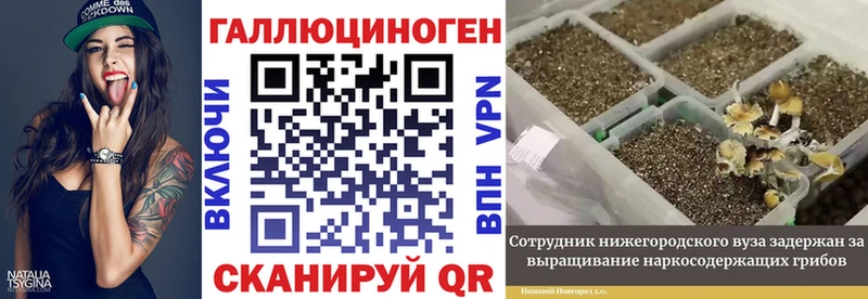 магазин  наркотиков  Сунжа  Галлюциногенные грибы Magic Shrooms 